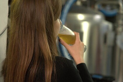 Beer tasting in a Brussels Micro Brewery and Distillery