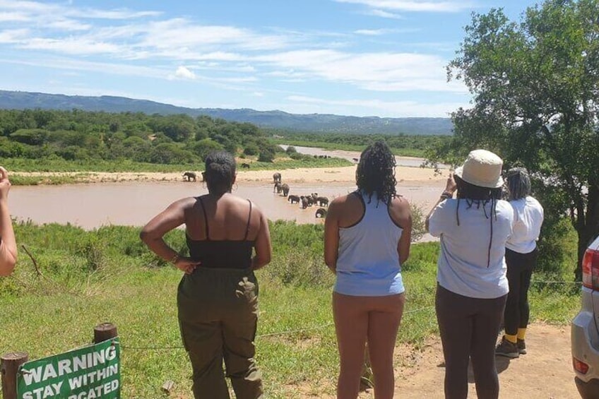 Safari Drive Hluhluwe Imfolozi Park South Africa