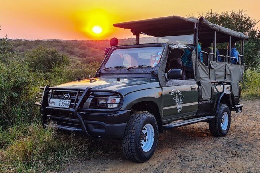 Safari For Six