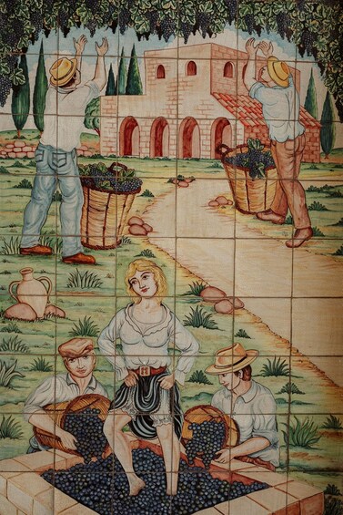 Picture 3 for Activity Walk in the Vineyard, between history and food and wine in Alcamo Estate