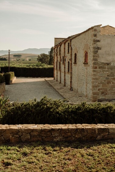 Walk in the Vineyard, between history and food and wine in Alcamo Estate