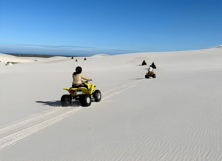Picture 2 for Activity Quad Biking Tour , Atlantis dunes Capetown