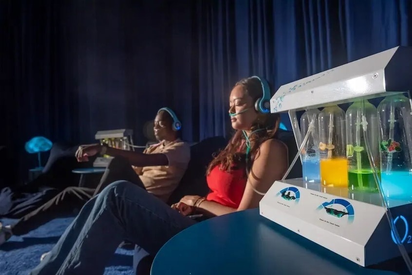 United States: Dopamine Land: A Multisensory Experience in New Jersey