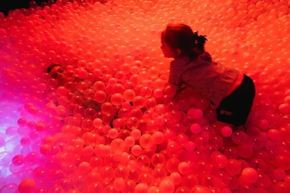 United States: Dopamine Land: A Multisensory Experience in New Jersey
