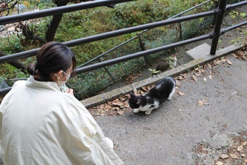Hiroshima A Must See Onomichi 2 Hour Private Tour