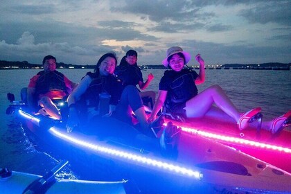 Glow Kayak Night Adventure in the Mangroves