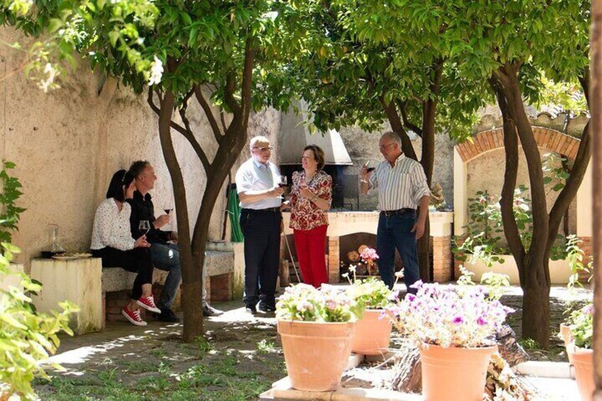 Visit a Winery with Wine Tasting in Laconi Experience