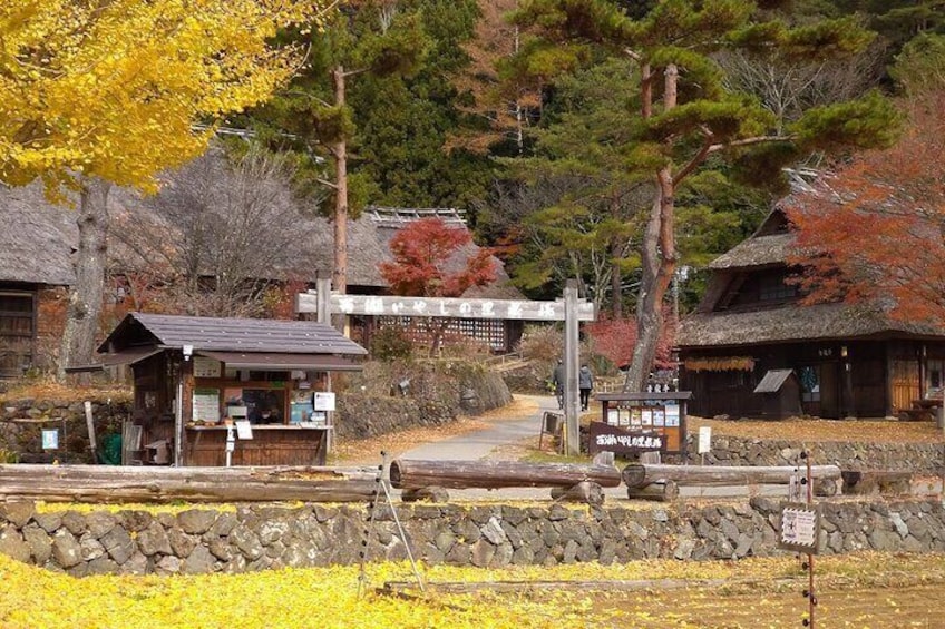 Mount Fuji & Fuji Shibazakura Festival One Day Trip From Tokyo