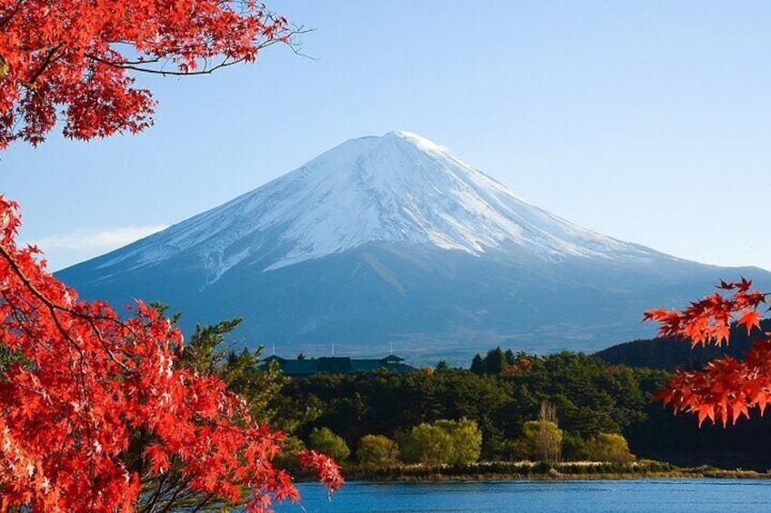 Mount Fuji & Fuji Shibazakura Festival One Day Trip From Tokyo