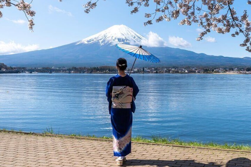 Mount Fuji & Fuji Shibazakura Festival One Day Trip From Tokyo