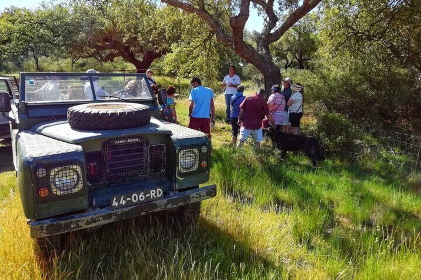 Land Rover Cork Safari Experience Pack