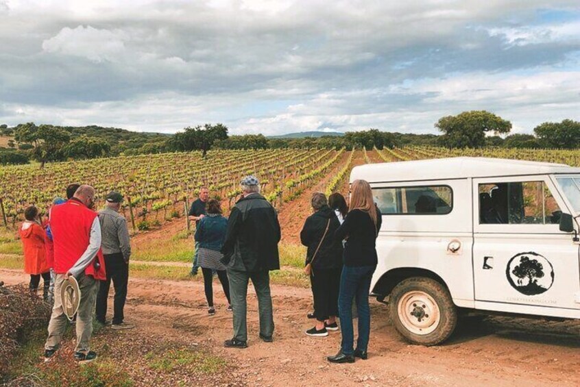 Land Rover Cork Safari Experience Pack