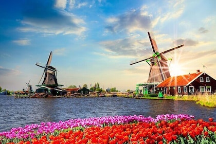 Private day trip from Amsterdam to Zaanse Schans and back