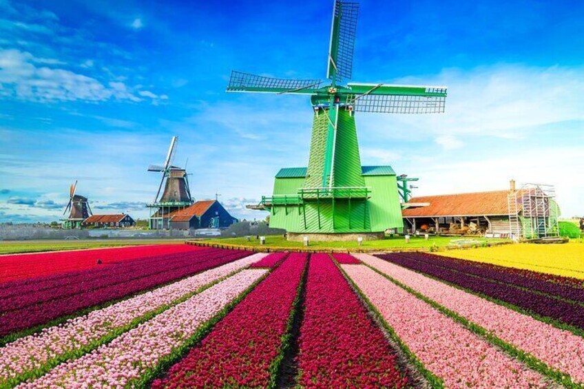 Private Car Tour To Zaanse Schans From Amsterdam