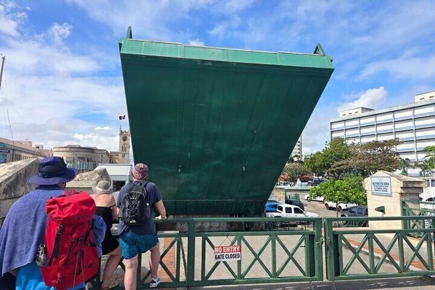 The Roots of Bridgetown A Black Cultural Heritage Walking Tour