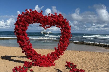 Luxury Proposal in Puerto Rico