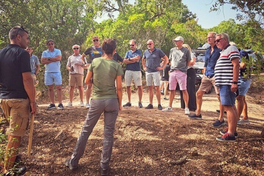 Sardinia Monte Limbara Shared Jeep Experience