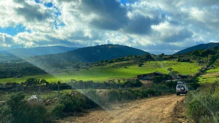 Sardinia Monte Limbara Shared Jeep Experience