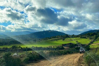 Sardinia Monte Limbara Shared Jeep Experience