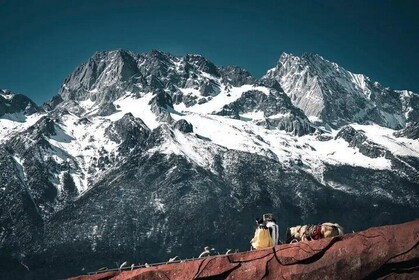 Jade Dragon Snow Mountain Glacier Cableway with Scenic Train Tour