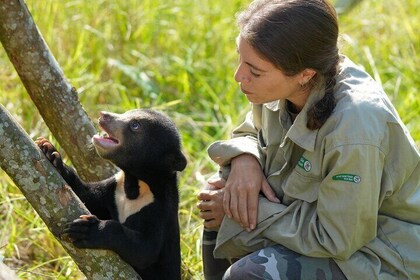 Cuc Phuong National Park and Bear Sanctuary Full Day Tour