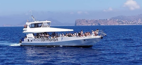 From Palma: Afternoon Dolphin-Watching Boat Tour