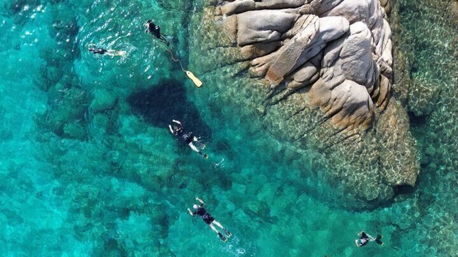 Snorkeling in Tavolara and Molara from San Teodoro
