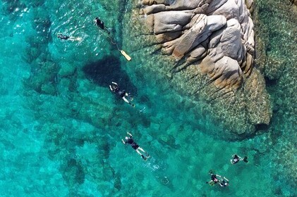Snorkelling in Tavolara and Molara from San Teodoro