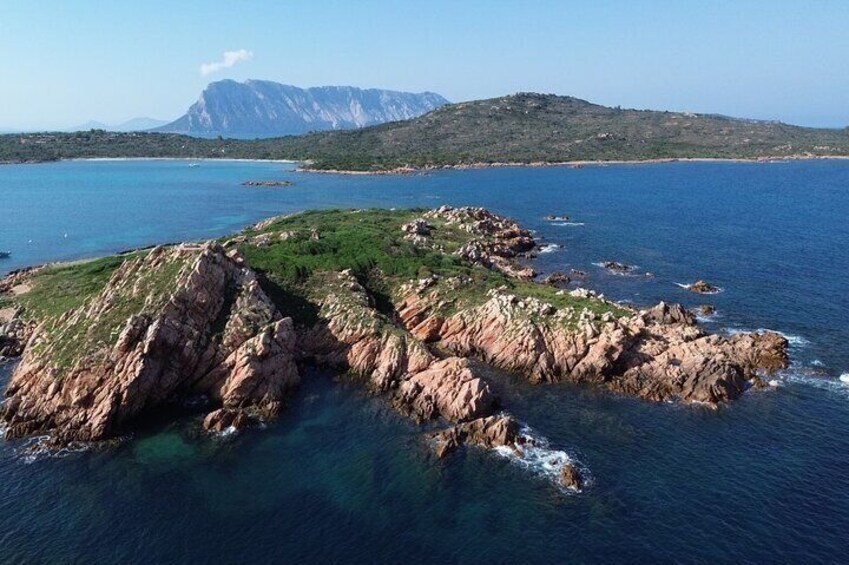 Snorkeling in Tavolara and Molara from San Teodoro
