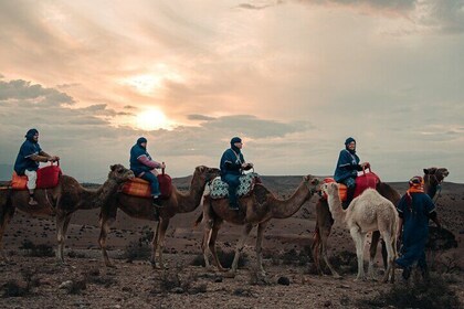 Agafay Desert ⁚ Traditional Dinner , Show and Camels