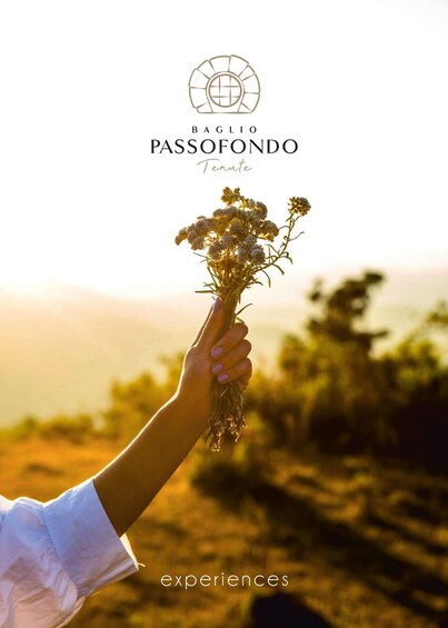 Picture 5 for Activity Discover Tenute Baglio Passofondo