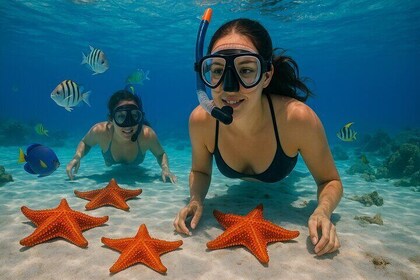 Magnificent Exploration to El Cielo Palancar and Columbia Reefs