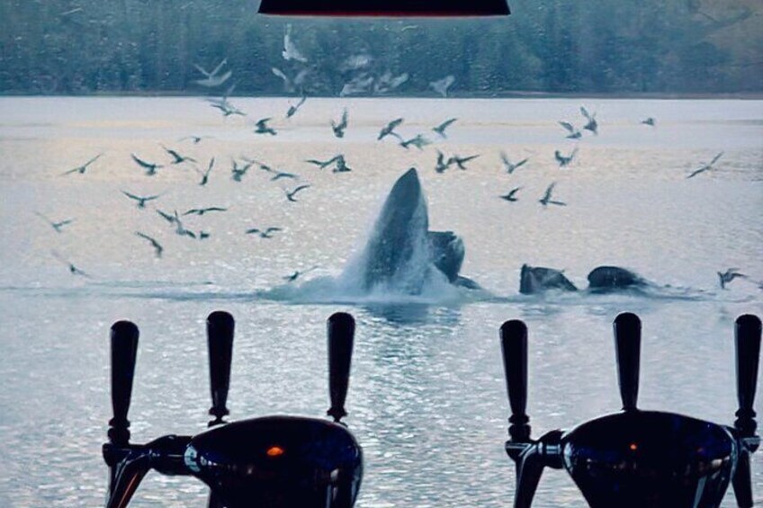 If you're lucky enough, you might see whales out the window.