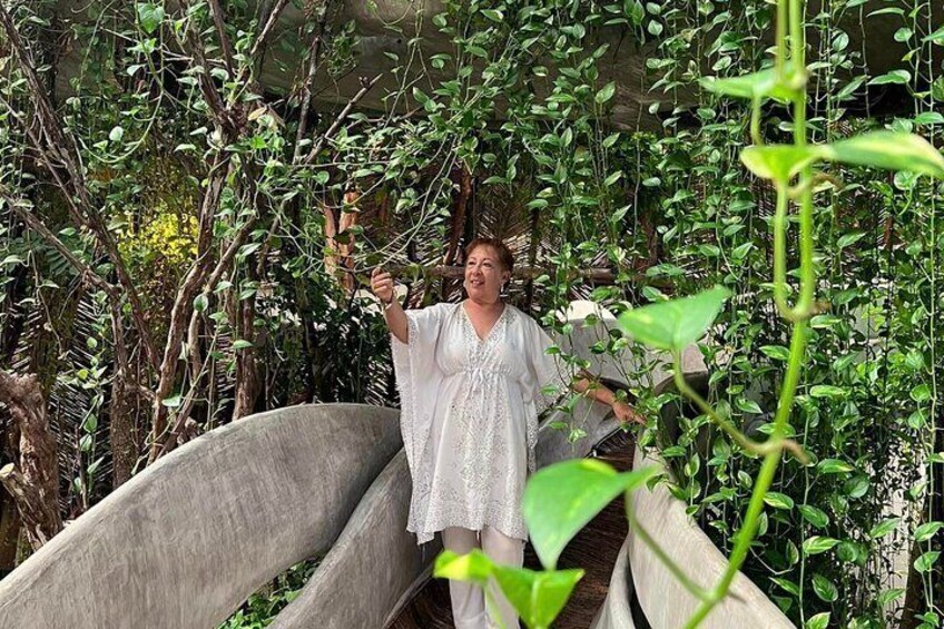 Jungle Museum Experience