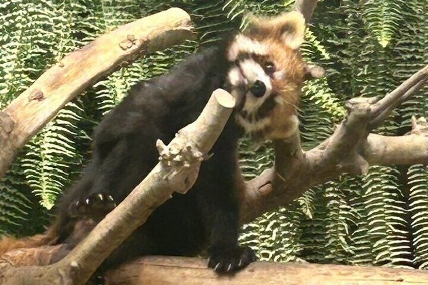 Kobe Animal Kingdom