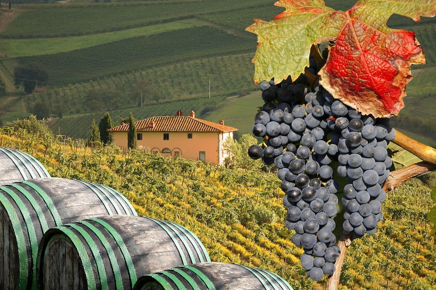 Best of Tuscany Day Tour from Florence