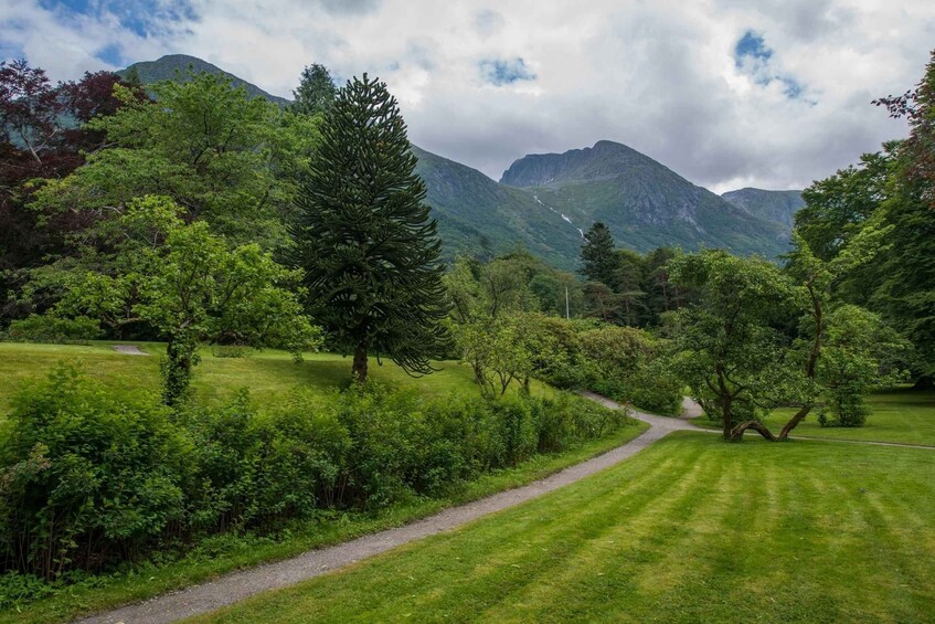 Picture 13 for Activity Bergen: Cruise to beautiful Rosendal by the Hardangerfjord