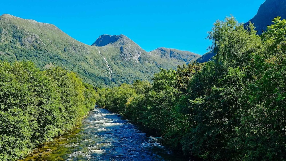 Picture 12 for Activity Bergen: Cruise to beautiful Rosendal by the Hardangerfjord