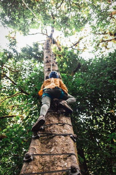 Picture 2 for Activity Monteverde: Arboreal Challenge Course - 5 in 1 Adventure -