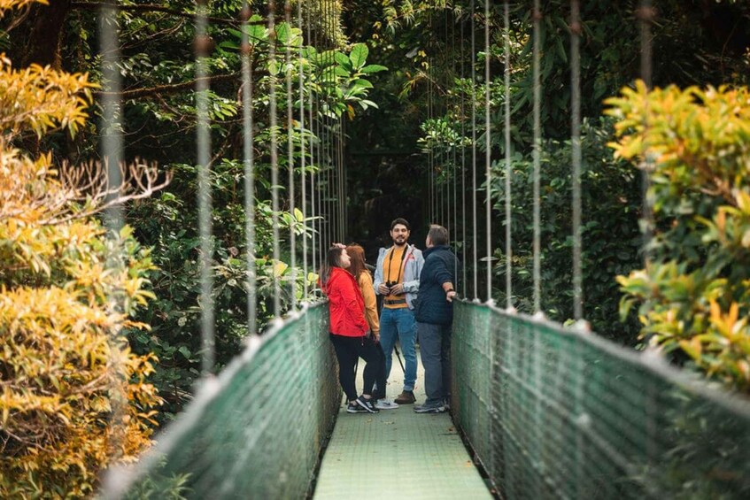 Picture 2 for Activity Monteverde: SkyWalk Hanging Bridges Adventure