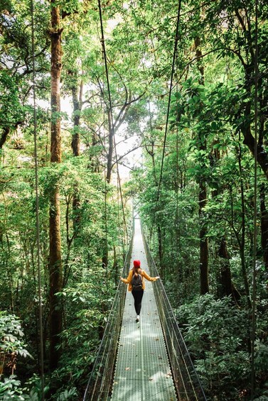 Picture 4 for Activity Monteverde: SkyWalk Hanging Bridges Adventure