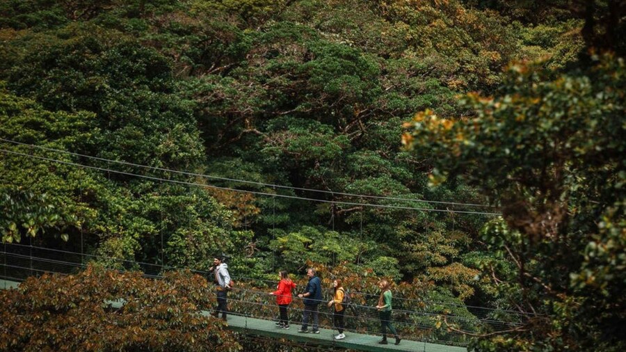 Monteverde: SkyWalk Hanging Bridges Adventure