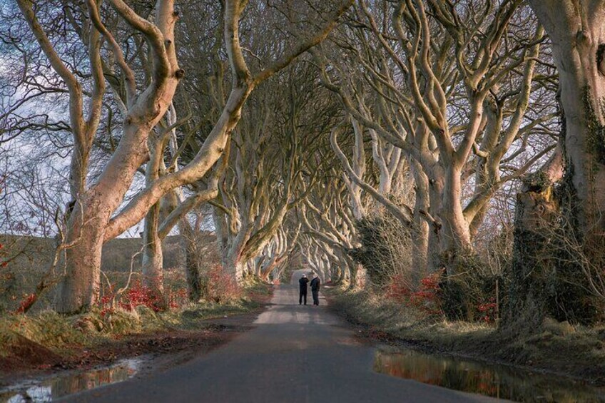  11 Hour Day Trip Giant’s Causeway from Belfast