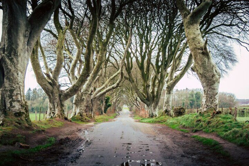  11 Hour Day Trip Giant’s Causeway from Belfast