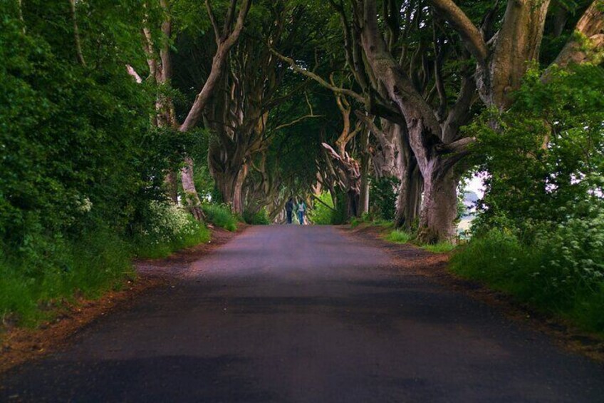 11 Hour Day Trip Giant’s Causeway from Belfast