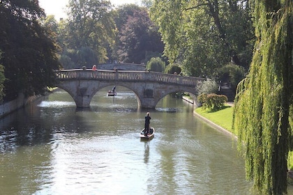 Cambridge City 10 Hour Day Tour from Birmingham