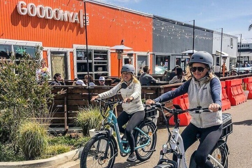 Local Guided Electric Bike Tour from Solana Beach to Encinitas