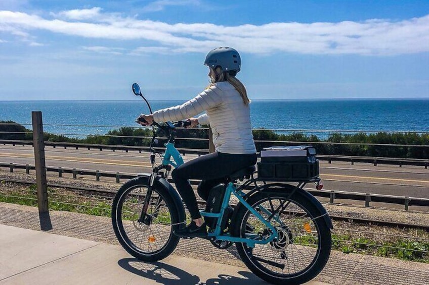 Local Electric Bike Private Tour from Solana Beach to Encinitas