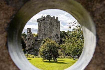 Blarney Castle 12-Hour Day Tour from Dublin