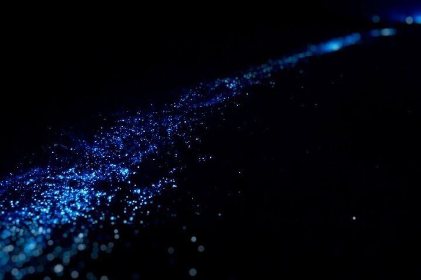 Bioluminescence Tour in Huatulco